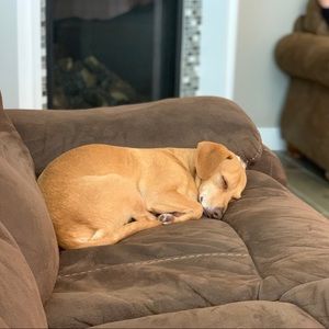 Meet your Posher, Lucerito